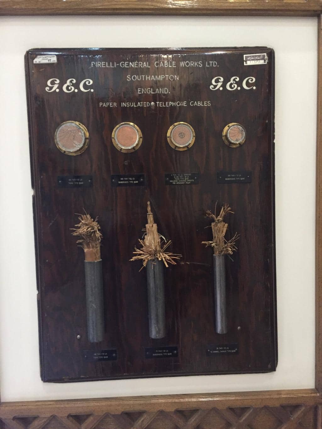 Evolution of Communication