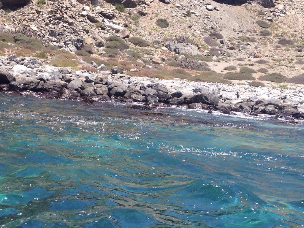 Isla Damas