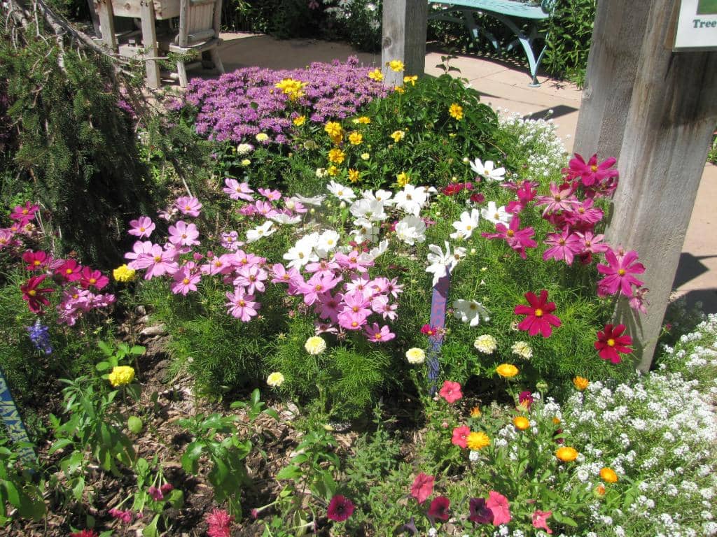 Peace Garden & Labyrinth