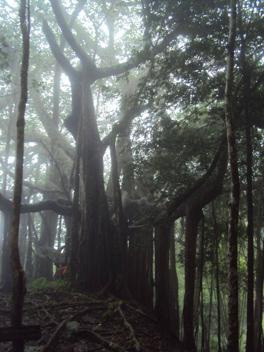 Vertical photo