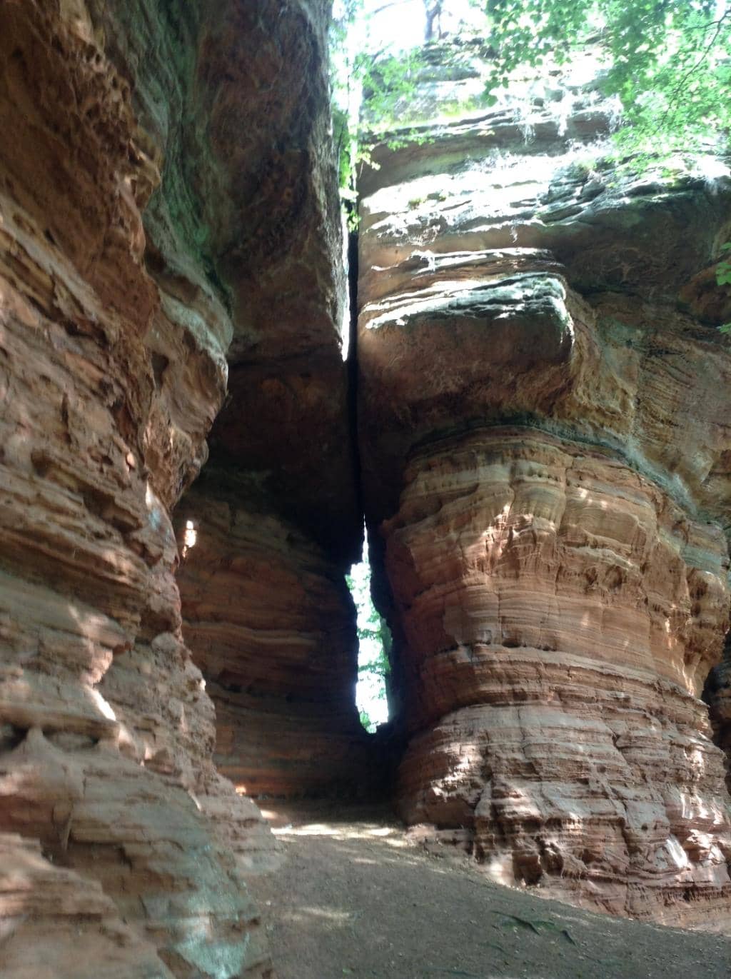 Vertical photo