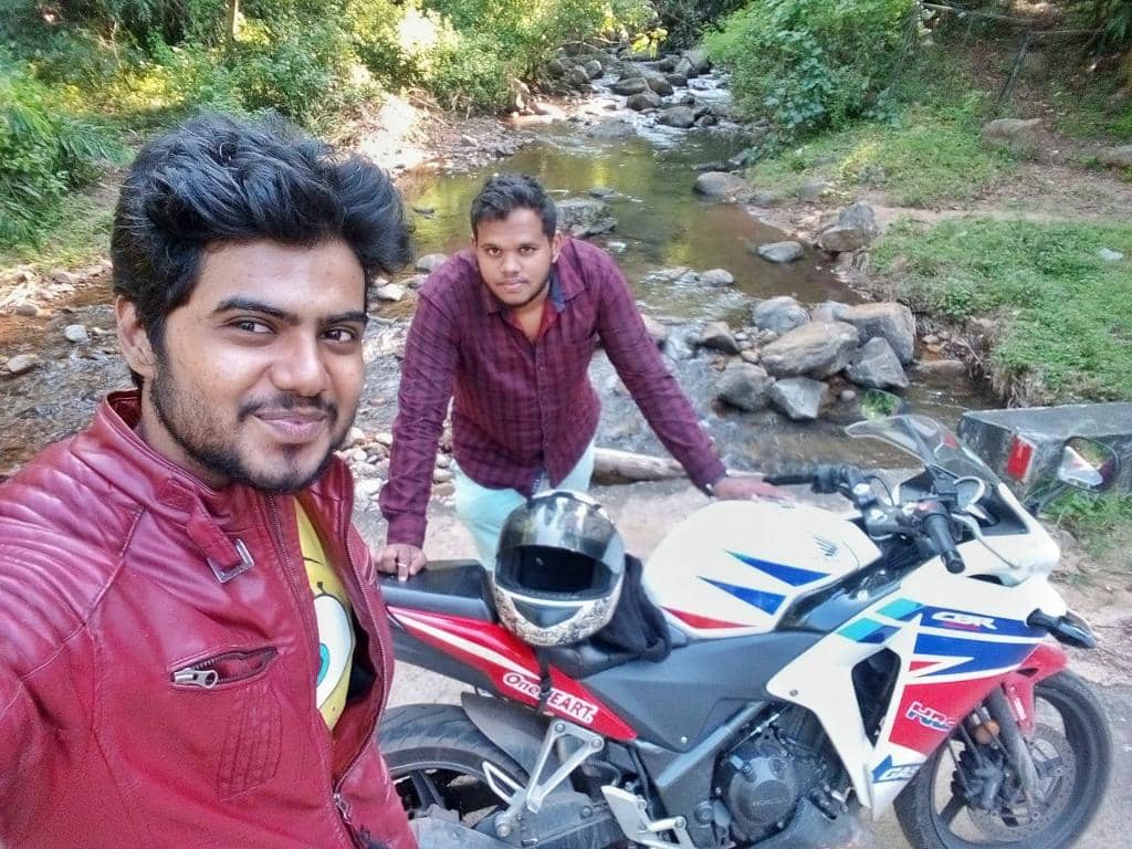 Forest Walk to the Falls