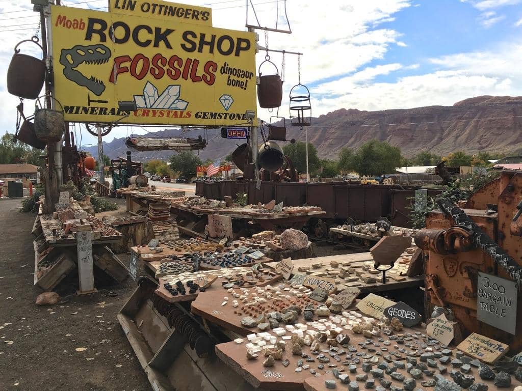 Fossil Finds