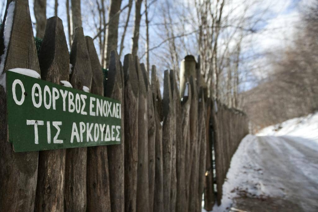 Wolf and Lynx Sanctuary
