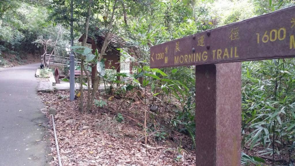 Pinewood Battery Ruins