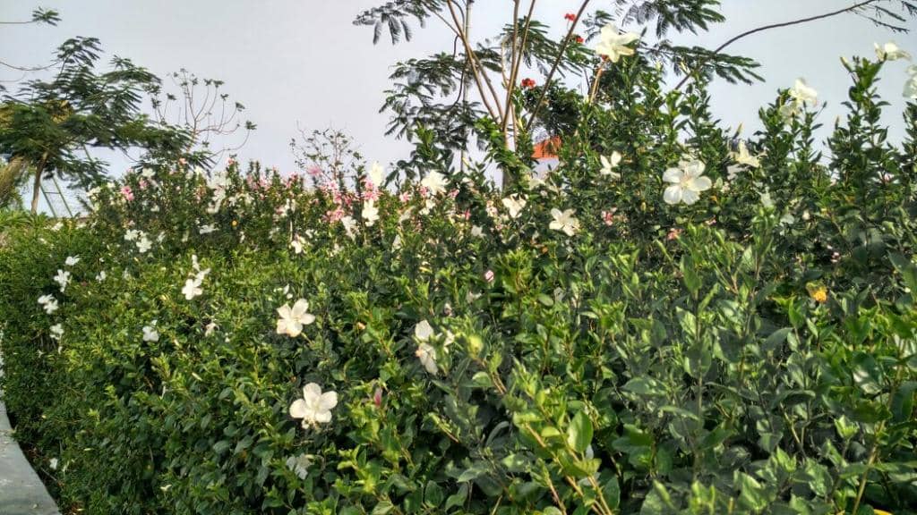 Kids' Playground & Animal Feeding