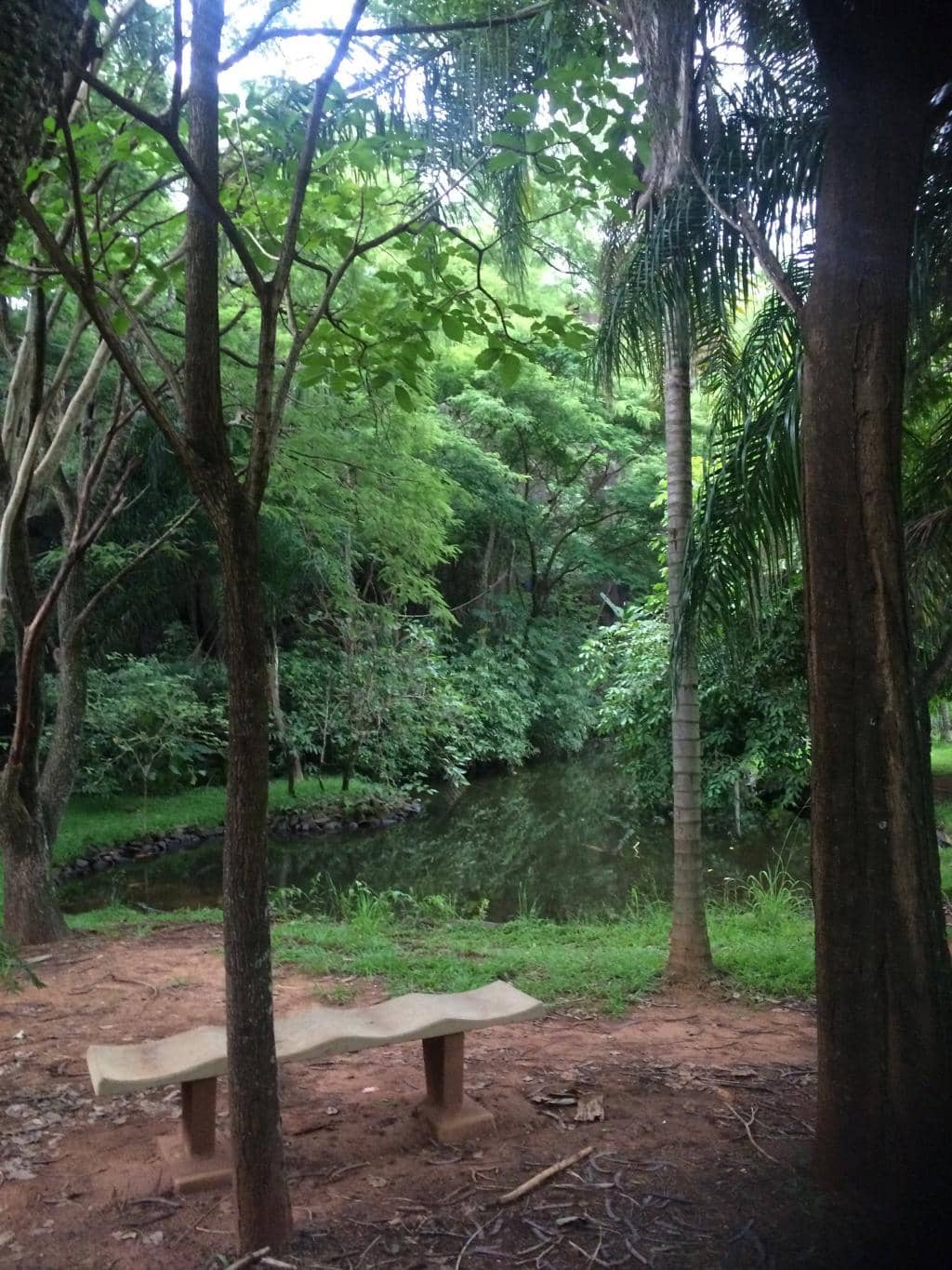 Walking and Cycling Paths