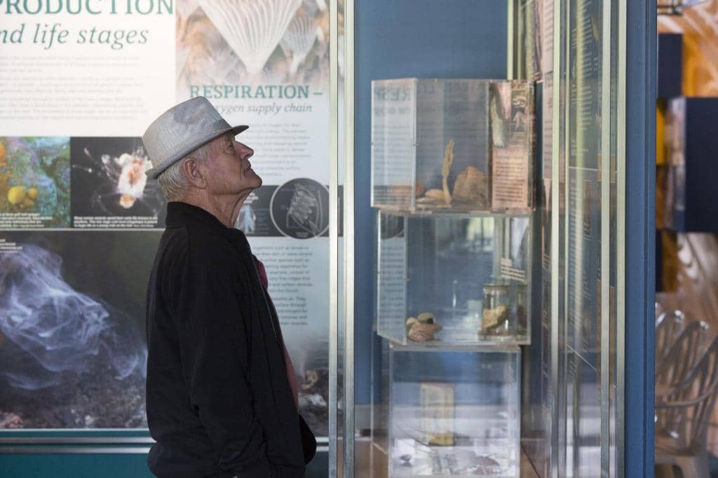 Snorkeling with Abundant Fish