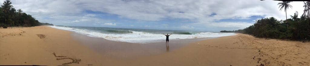 Surfer's Paradise