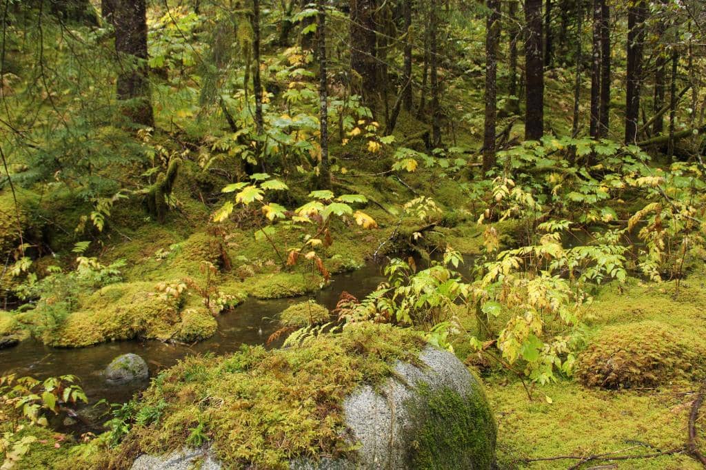 Visitor Center Exhibits