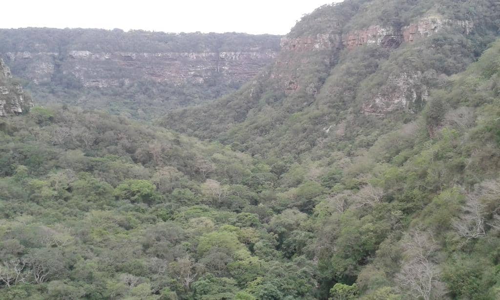 Scenic Gorge Views