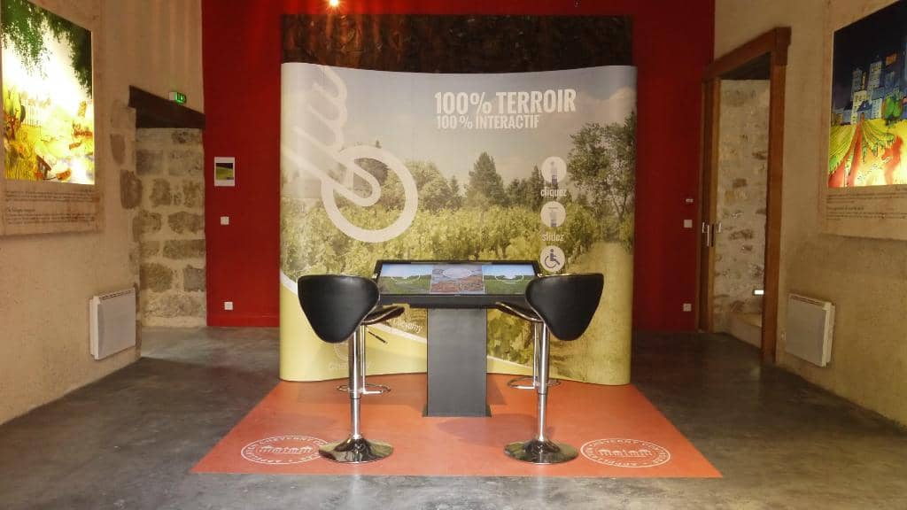 Discover Cheverny Wines