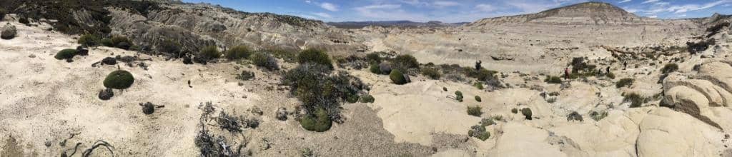 Dinosaur Fossils