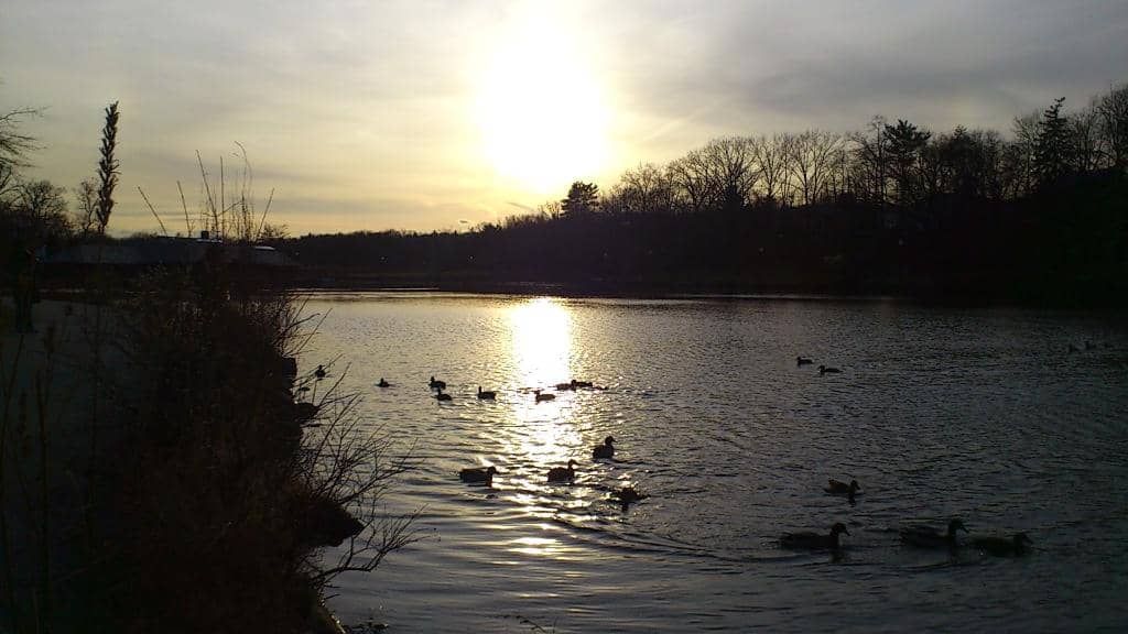 Scenic Walking Paths