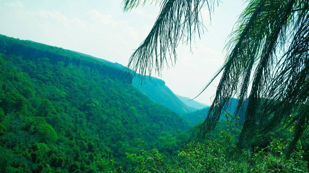 Refreshing Swimming Spots