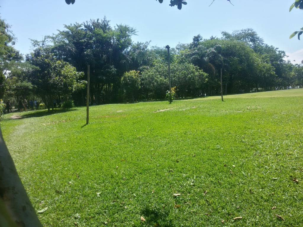 Playground Area