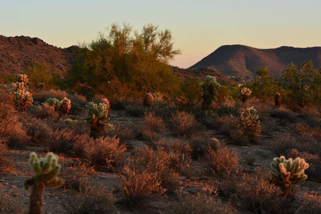 Tom's Thumb Trail