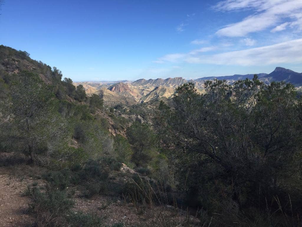 Panoramic Mountain Views