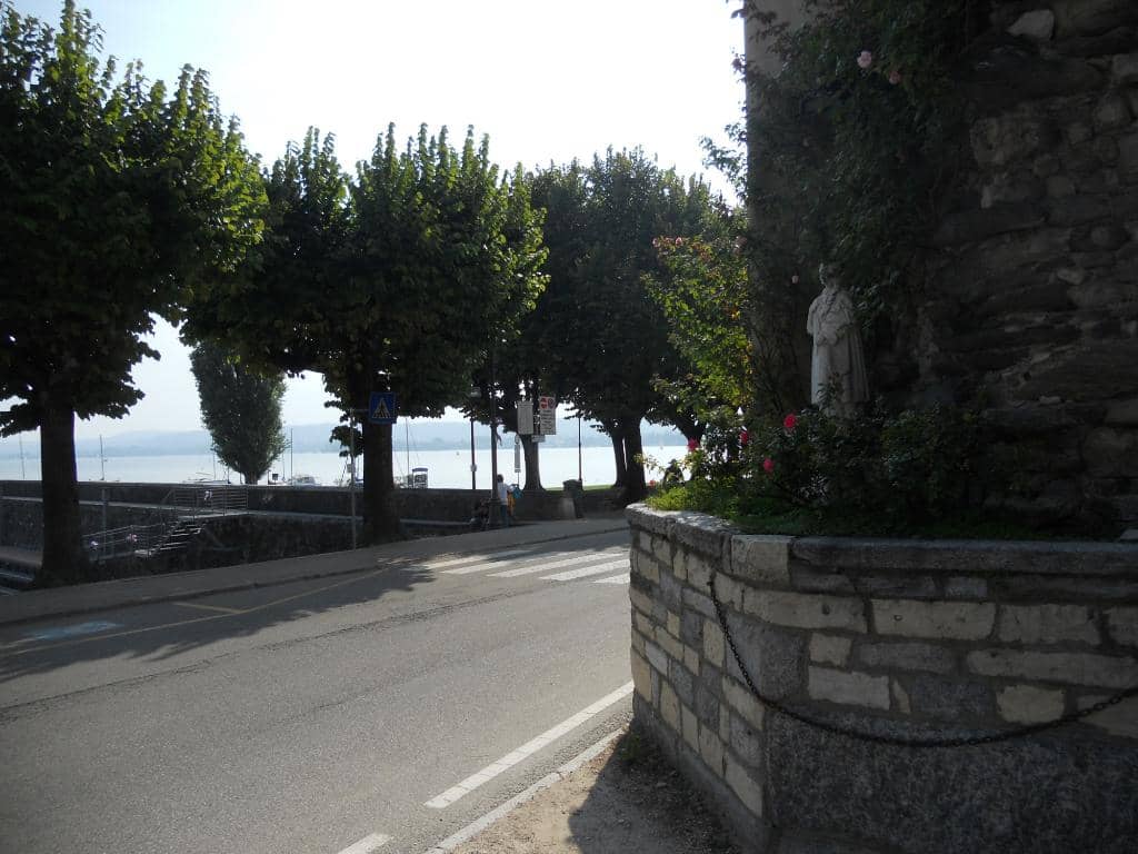 Vertical photo