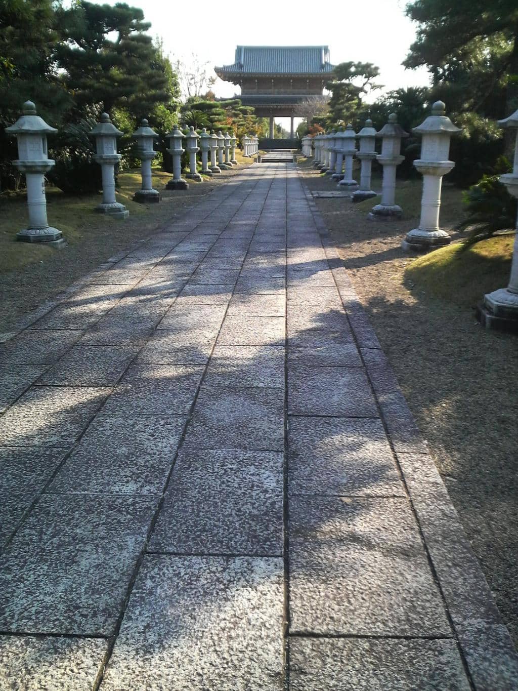 Scenic Hillside Location