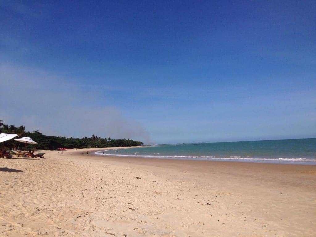 Varied Vegetarian Options