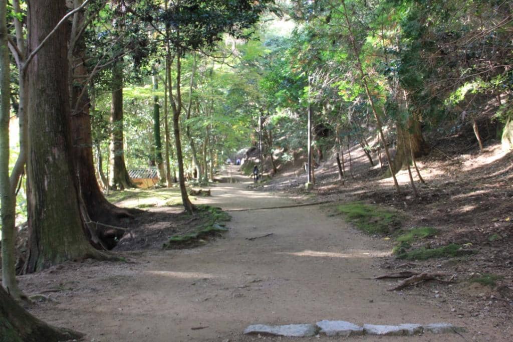 Mount Shosha Forest Trails