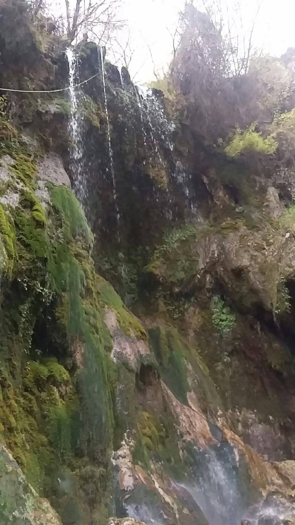 Vertical photo