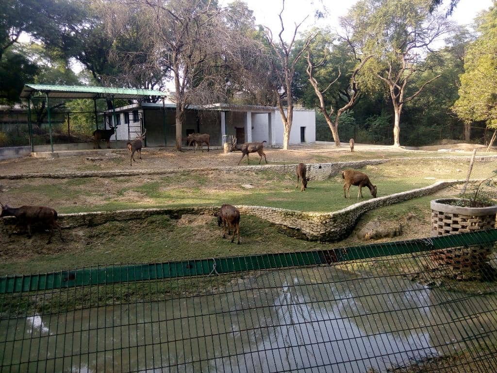 Aviary, Aquarium & Night House
