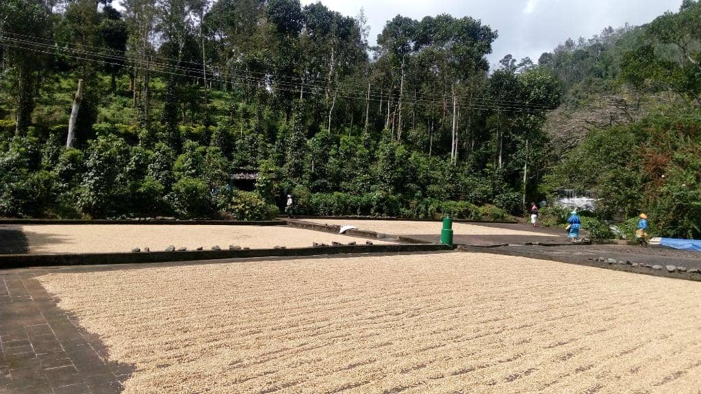 Meet the Spice Farmers