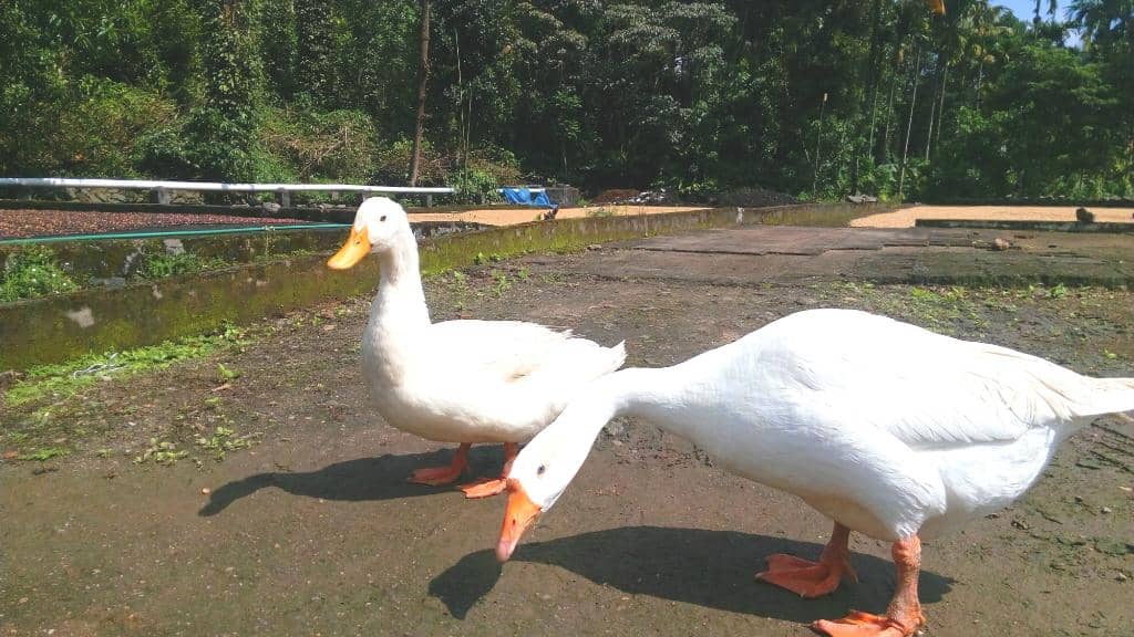 Spice Tasting & Aromas