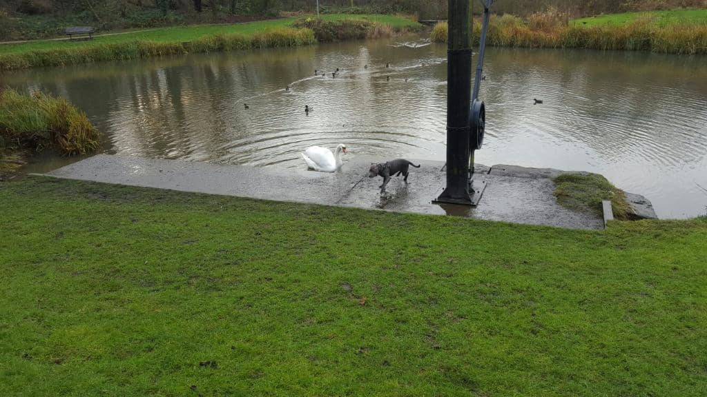 Waterside Dining