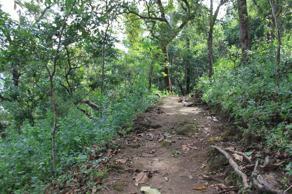 Climate Walk Trek