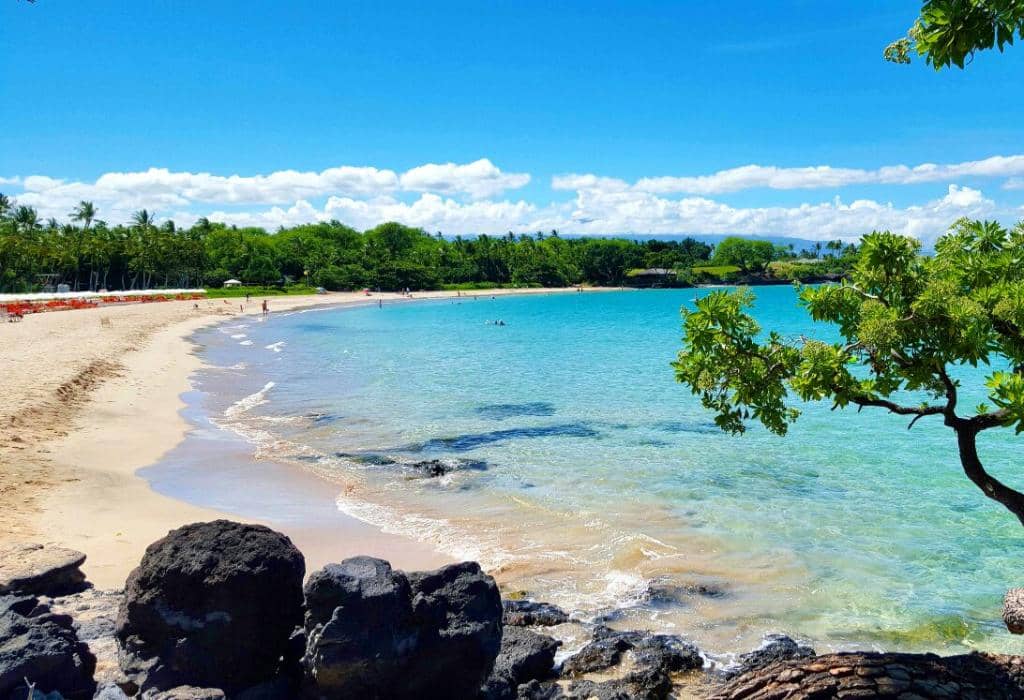 Snorkeling Paradise