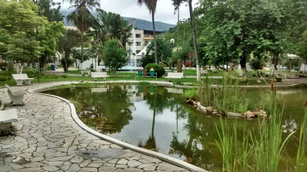 Lush Greenery and Relaxation