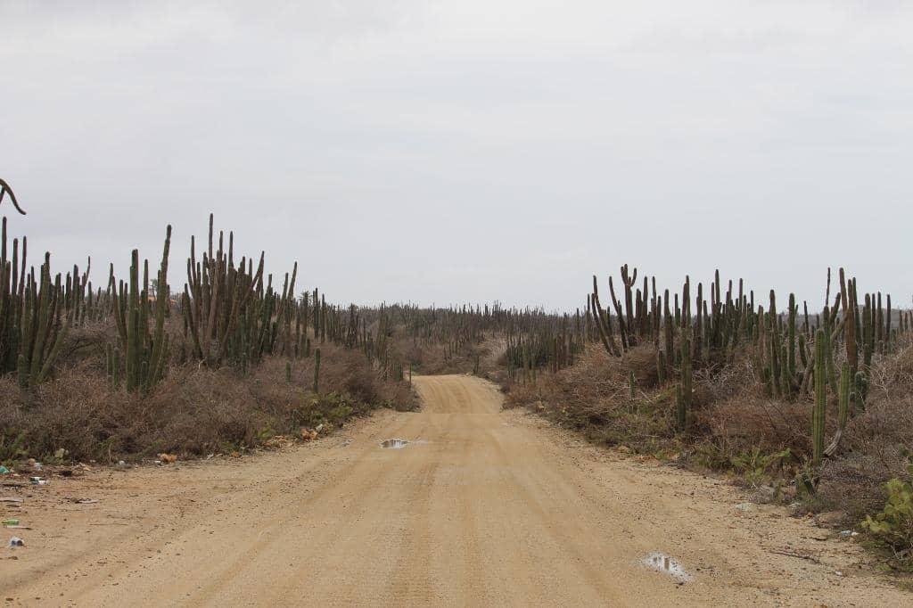 Scenic Hiking Trails