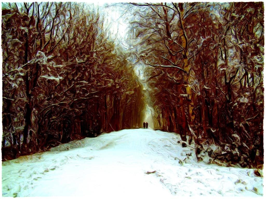 Woodland Trails