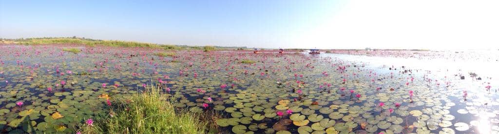 Tranquil Boat Ride