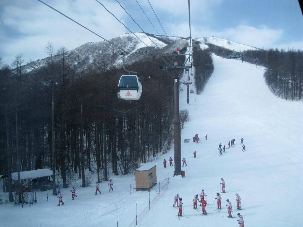 Seasonal Illumination