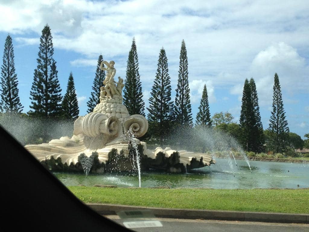 Live Music & Hula