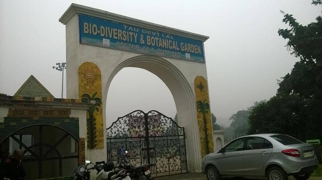 Artistic Animal Sculptures