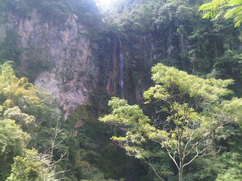 Scenic Trekking Path