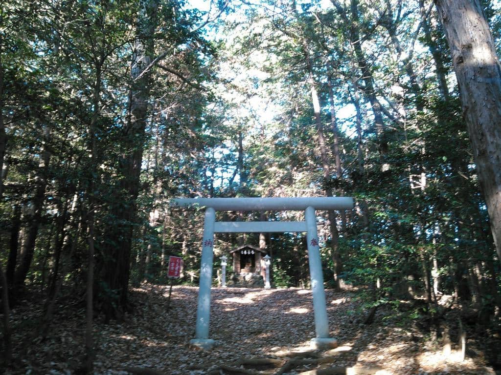 Autumn Harvest Festival