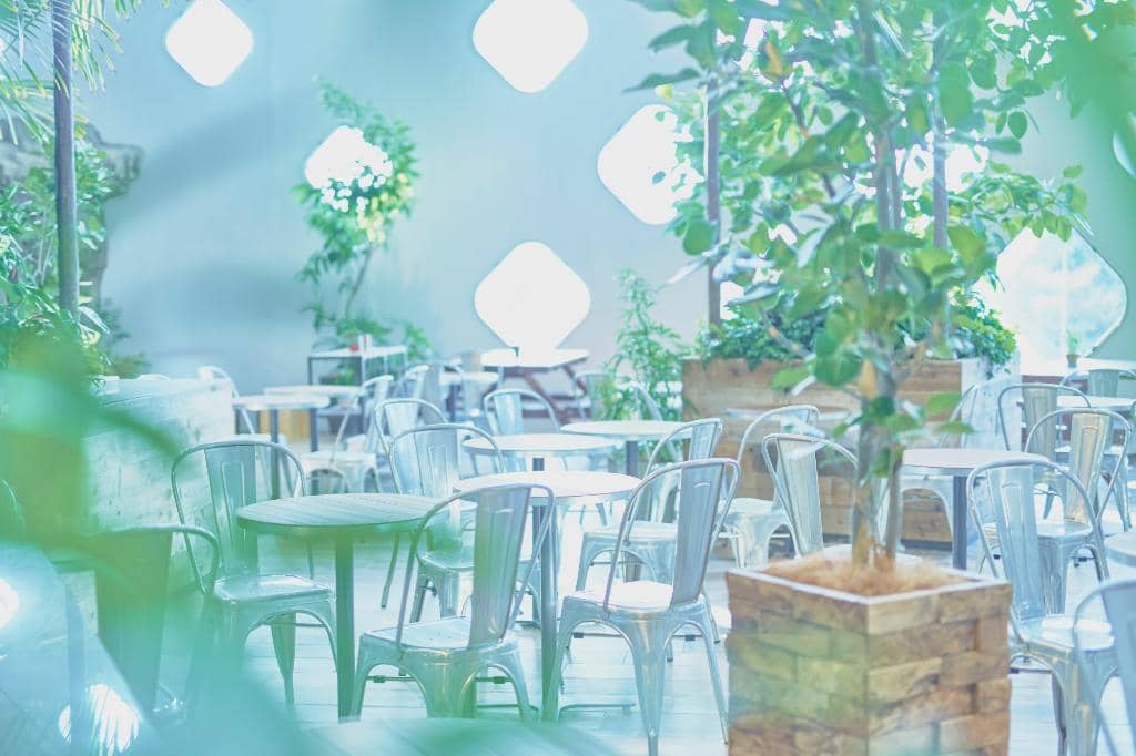 Stylish Reptile Displays