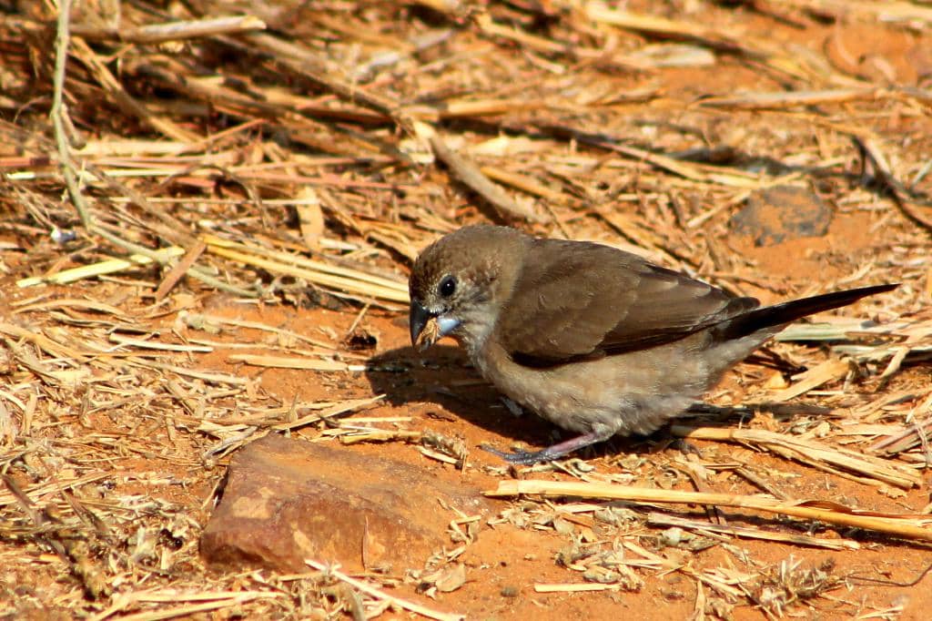 Sunrise/Sunset Views