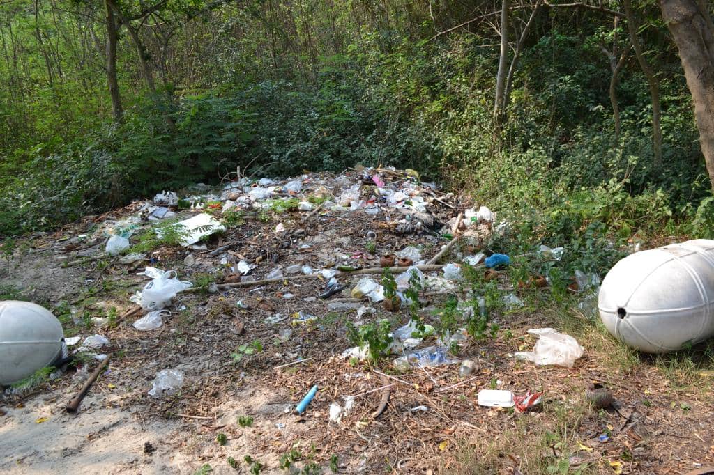 Snorkeling Opportunities