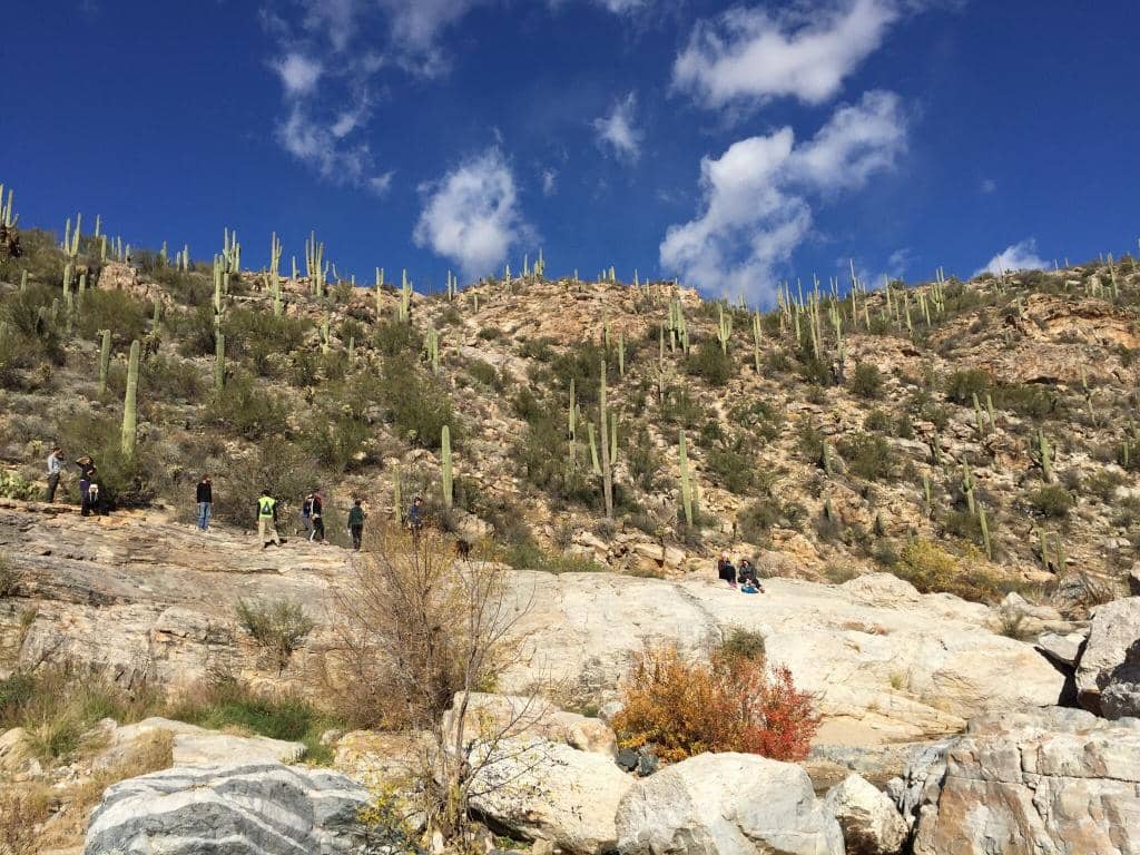 Riverbed Scrambling