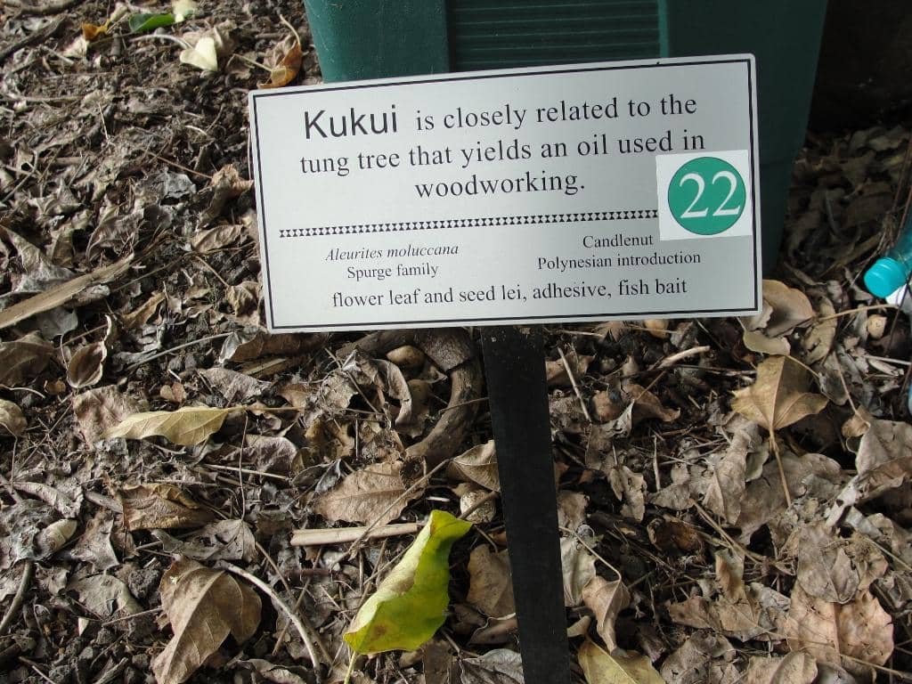 Cultural Workshops & Events