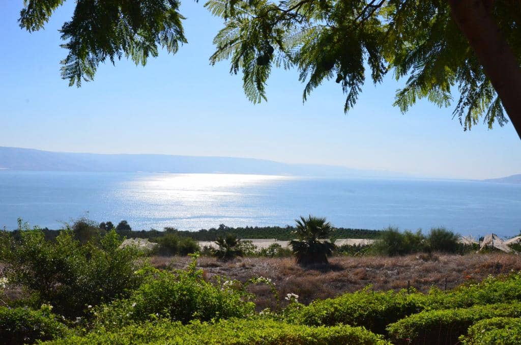 The Gardens of Reflection