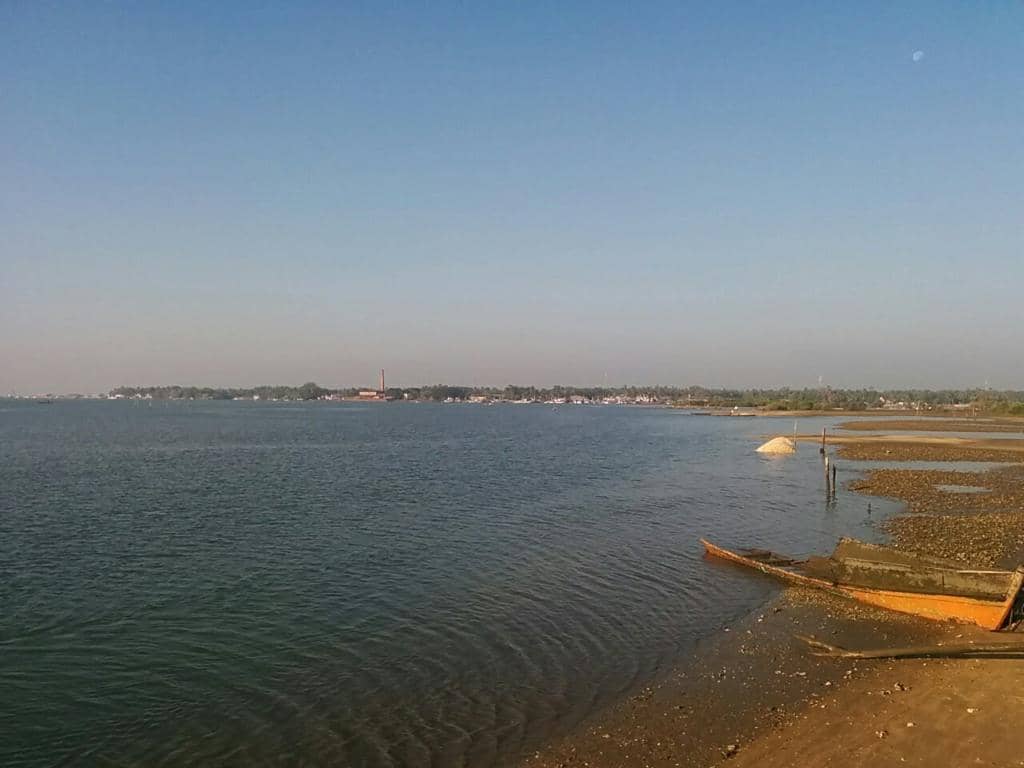 Traditional Puppet Shows