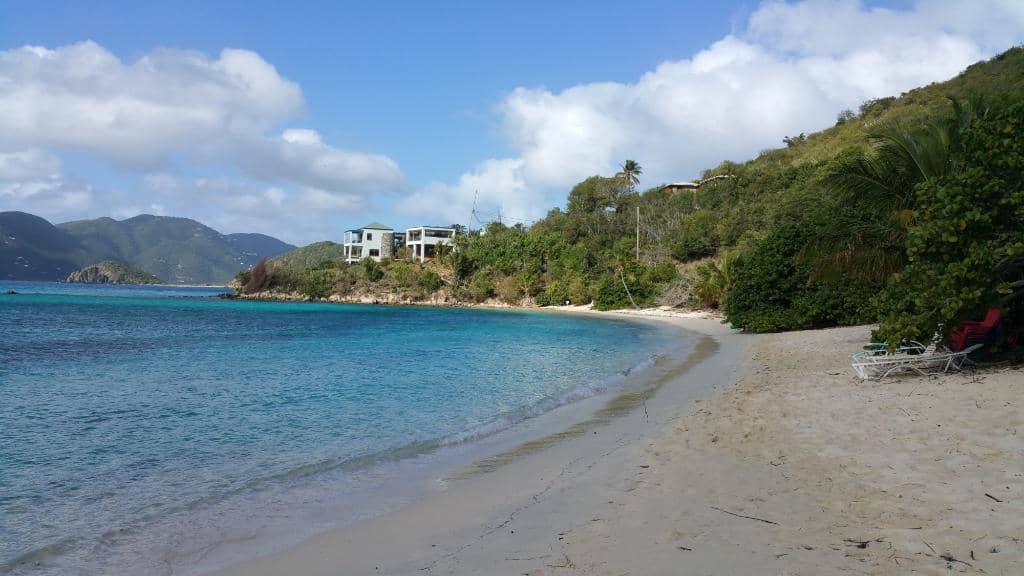 Peaceful Palm-Shaded Relaxation